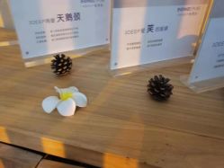 点击看大图 -梵隐SPA