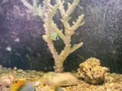 -嘉兴海底世界