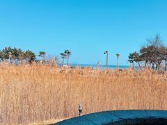 -青岛海泉湾度假区温泉