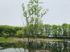 -西湖风景区-江洋畈生态公园