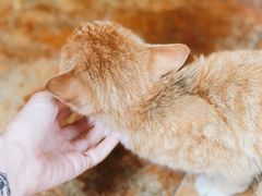 -柳沟豆腐宴69号福豆堂