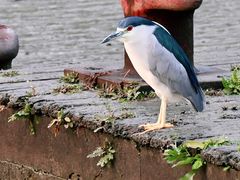 -苏州河梦清园环保主题公园