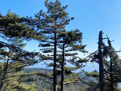 -罗田薄刀峰风景区