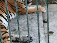 -揭东万竹园旅游景区