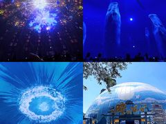 -海合安武汉极地海洋公园