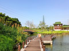 -王借岗森林公园
