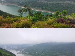 -铁山坪森林公园