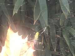 -北京麋鹿生态实验中心