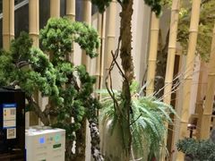 -上座云间·青年赣菜(绿茵店)