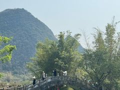-靖西鹅泉风景区
