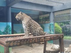 -昆明动物园