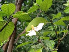 -花锦堂·隐庐