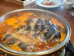 酸汤鱼-酸喜·三度酸·贵州味