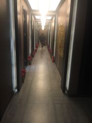 -脉道美容养生会所