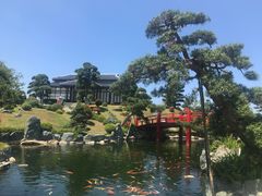 -芽庄珍珠岛游乐园