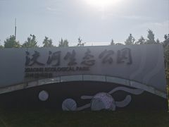 -洨河生态公园