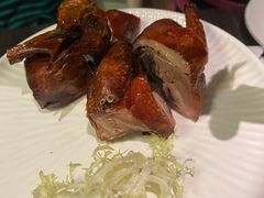 老广乳鸽-鹊玥·粤菜小馆(汇智国际商业中心店)