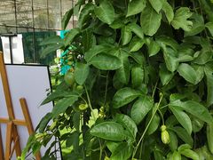 -中国农科院国家农业科技展示园