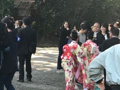 节日盛装的孩子们-热田神宫