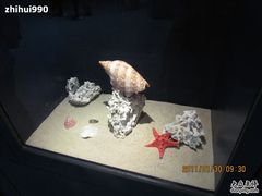 -亚龙湾中心广场·贝壳馆