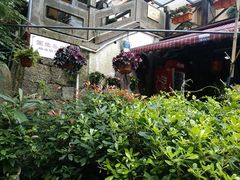 -国生茶庄·地道农家菜团建活动