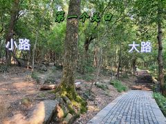 -紫金山山顶公园
