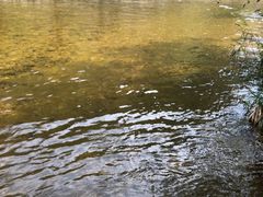 -龙峪湾国家森林公园
