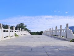 -大兴滨河森林公园