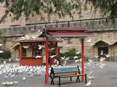 -大同方特欢乐世界