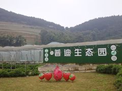 -普迪生态园