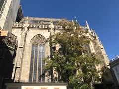-斯蒂芬主教座堂(Stephansdom)