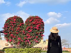 -东莞植物园