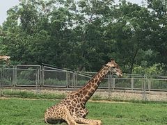 -石家庄市动物园