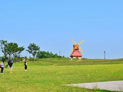 -杭州湾海上花田景区