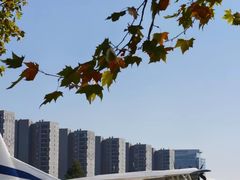 -南京航空航天大学(将军路校区)