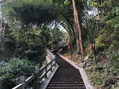 -龙井村