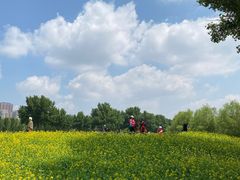 -长白岛森林公园