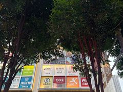 -岭南站NOVA