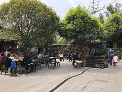 -青城甲(青城山店)