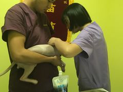 -瑞鹏宠物医院·爱宠堂·骨外专科(西荷分院)