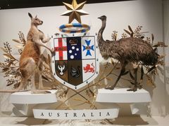 -墨尔本博物馆(Melbourne Museum)