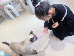 -藏猫猫咖啡主题馆(中央大道店)
