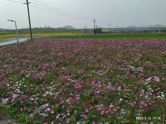 -光明小镇欢乐田园