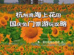 -杭州湾海上花田景区