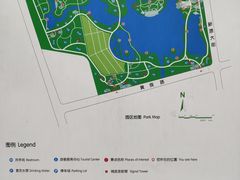 -大兴滨河森林公园