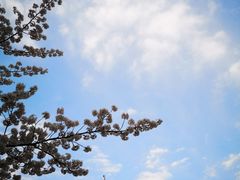 -江苏第二师范学院(草场门校区)