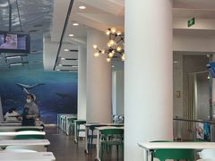 -贝林大翅鲸简餐厅(国家海洋博物馆店)