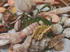 -船梆煮•蒸汽海鲜·炉火烤肉(五四广场店)