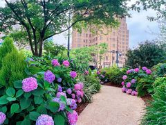 -北外滩滨江绿地