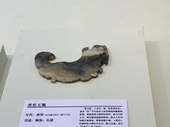 -安阳博物馆